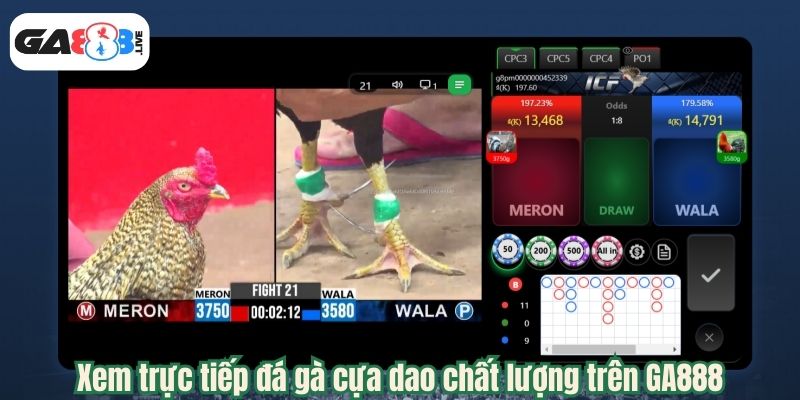 Xem trực tiếp đá gà cựa dao chất lượng trên GA888