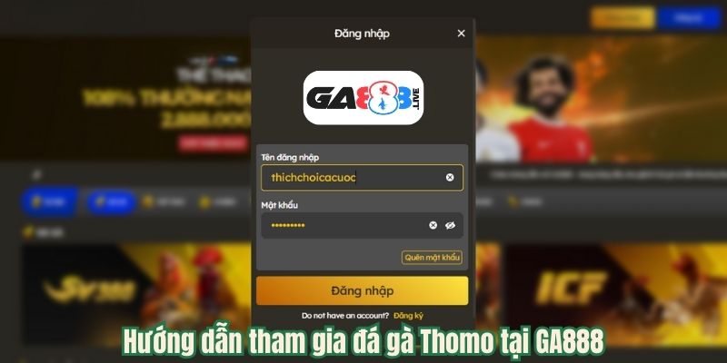 Hướng dẫn tham gia đá gà Thomo tại GA888