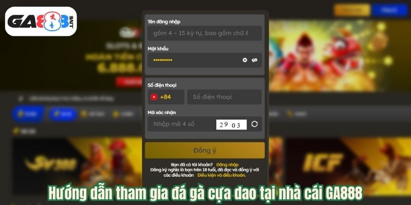 Hướng dẫn tham gia đá gà cựa dao tại nhà cái GA888